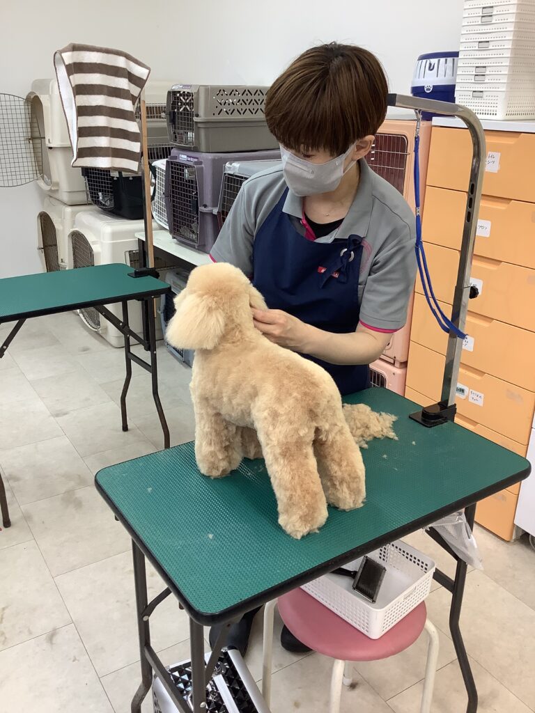 体型補正をかんがえる