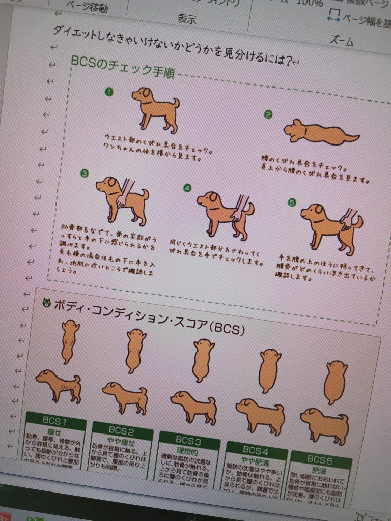 GW開け元気に登校ですヽ(^o^)丿