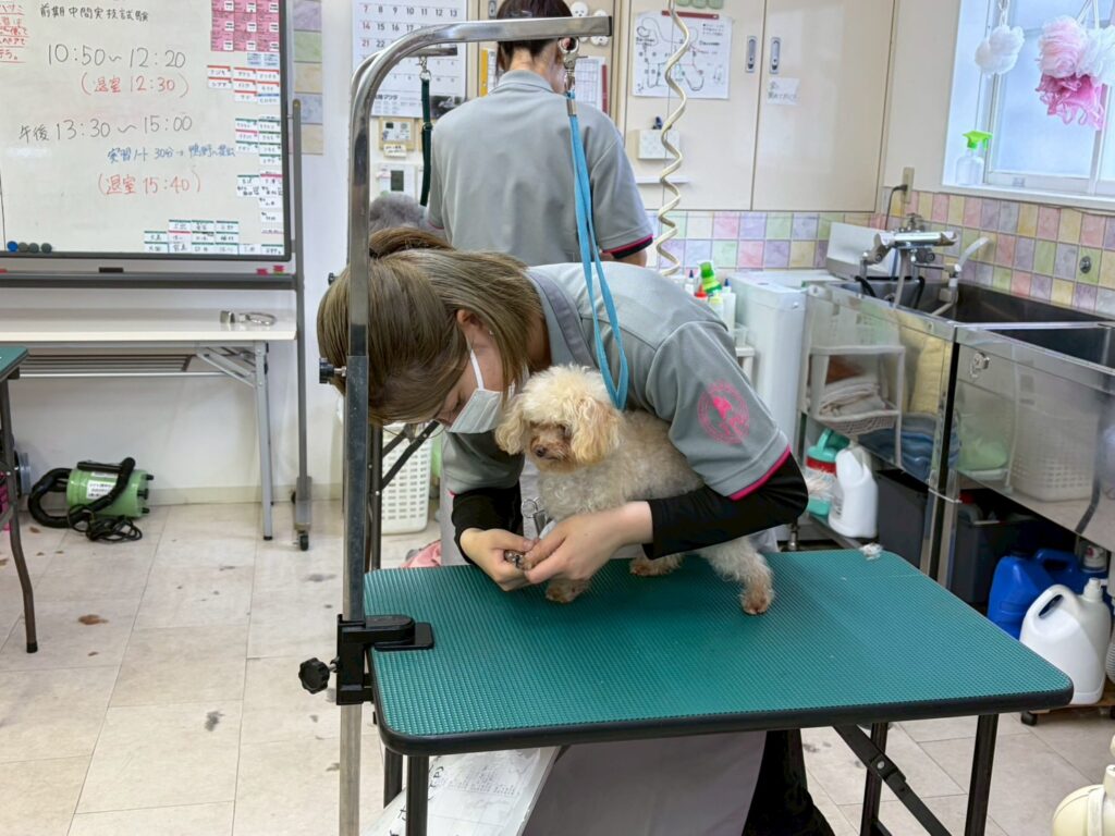 実技試験終了