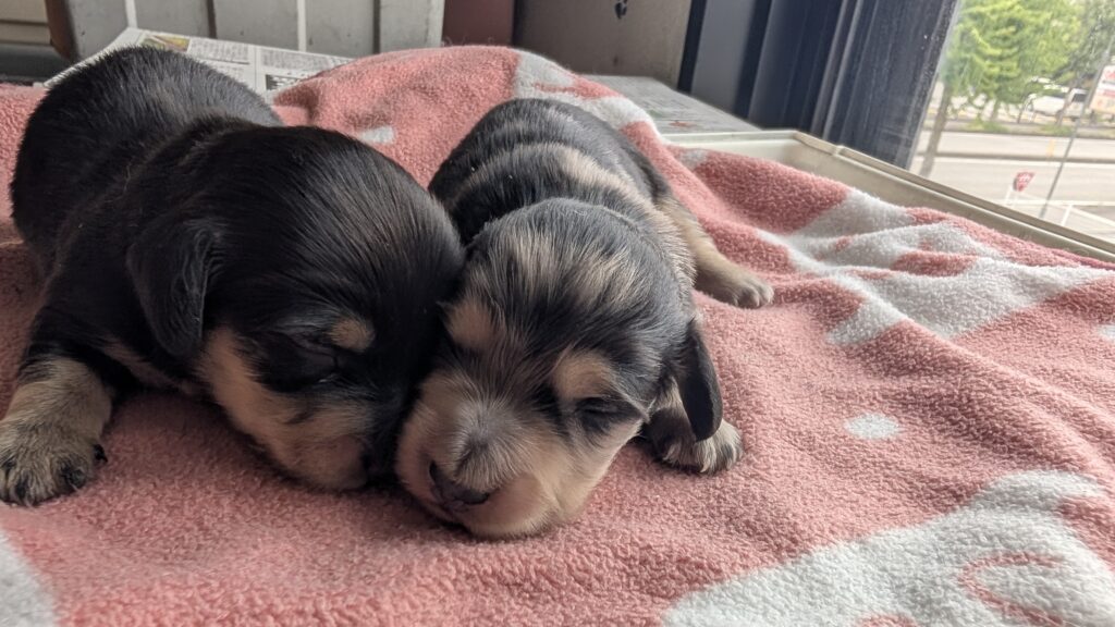 GW中の授業について