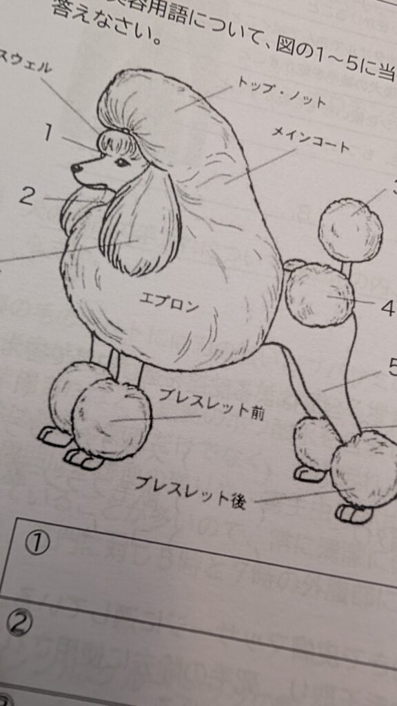 前期中間試験が始まっています